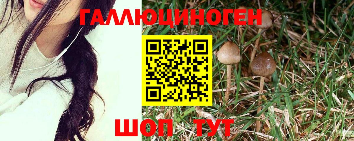 Псилоцибиновые грибы мухоморы  Вход с VPN  Волгоград 